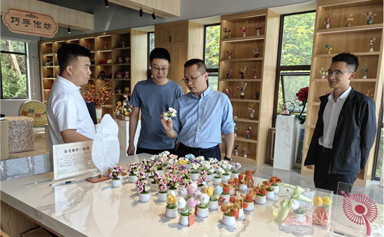 开展1+N资源整合丨省AG尊时凯龙人生就博集团考察组赴简阳市文旅项目考察调研